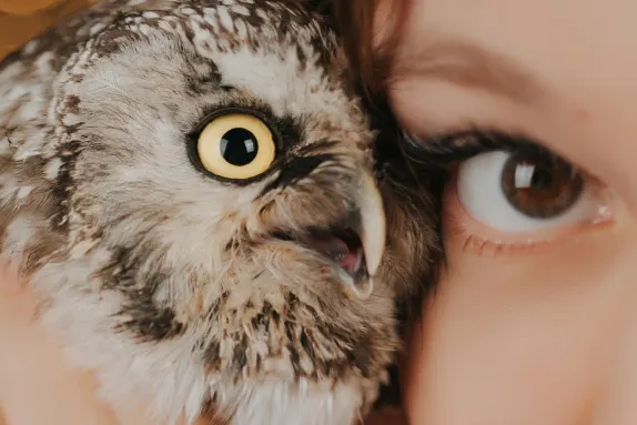 카지노 로코 윈 지원